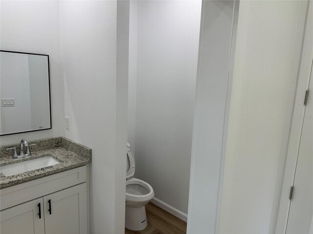 bathroom featuring vanity, wood finished floors, and toilet