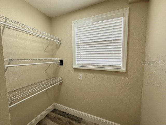 walk in closet featuring dark wood-type flooring