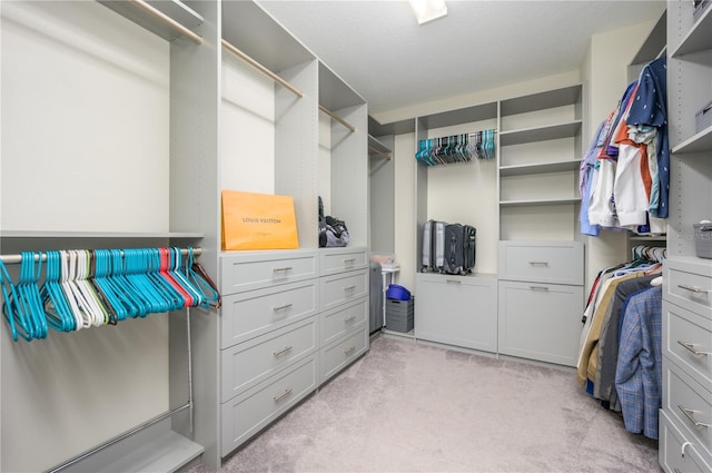 walk in closet with light colored carpet