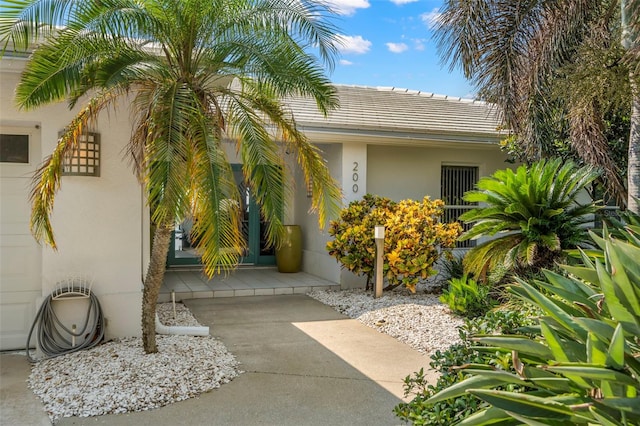 doorway to property featuring a tiled roof and stucco siding