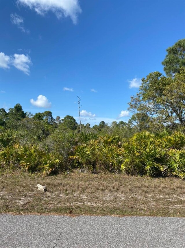 12166 Ashley Ave, Port Charlotte FL, 33981 land for sale