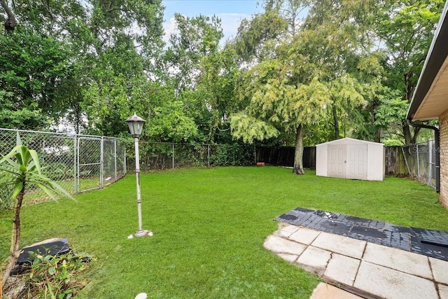 view of yard featuring a shed