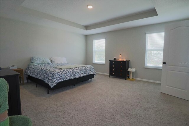 bedroom featuring a raised ceiling and carpet