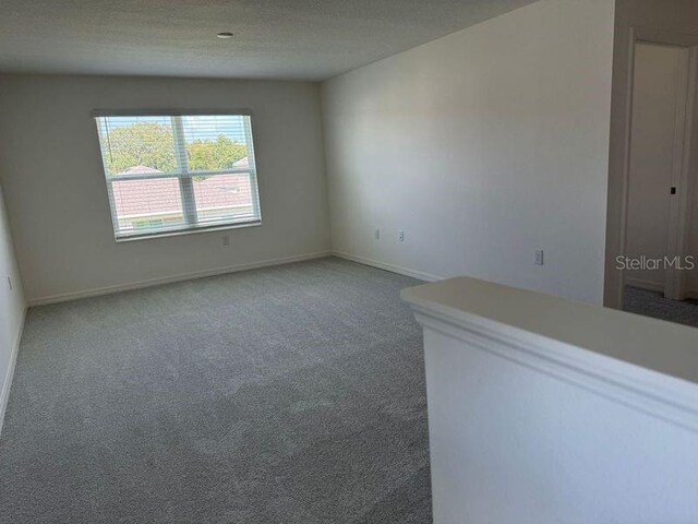 spare room featuring a textured ceiling and carpet flooring