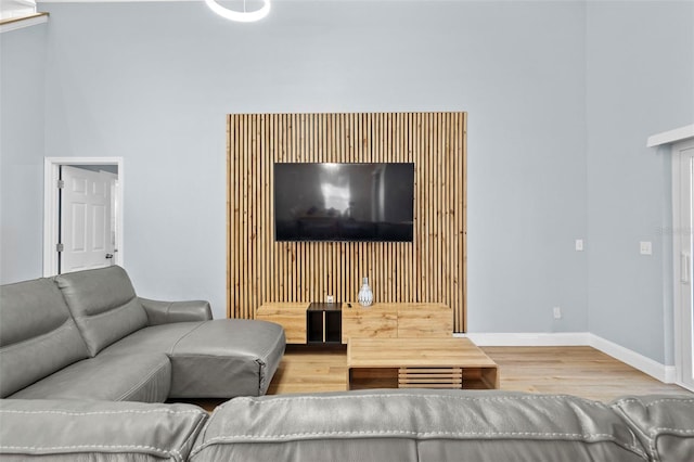 living room featuring hardwood / wood-style floors