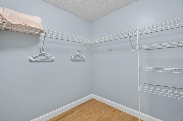 walk in closet with wood-type flooring