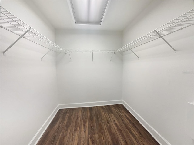 spacious closet with dark wood-type flooring