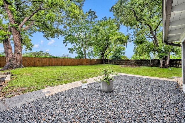 view of yard featuring a patio area and a fenced backyard