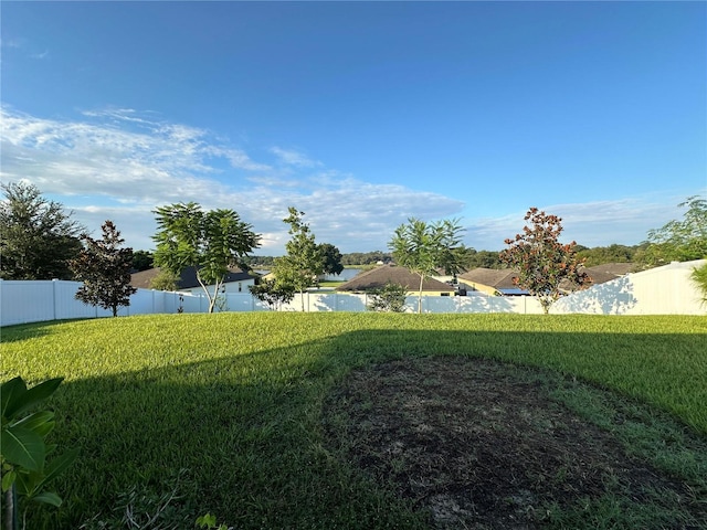 view of yard featuring a fenced backyard