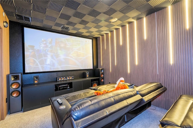 cinema room with carpet