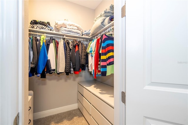 spacious closet with light carpet