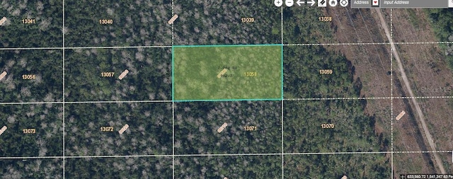 Dill Rd, Orlando, FL 32820 - photo 1
