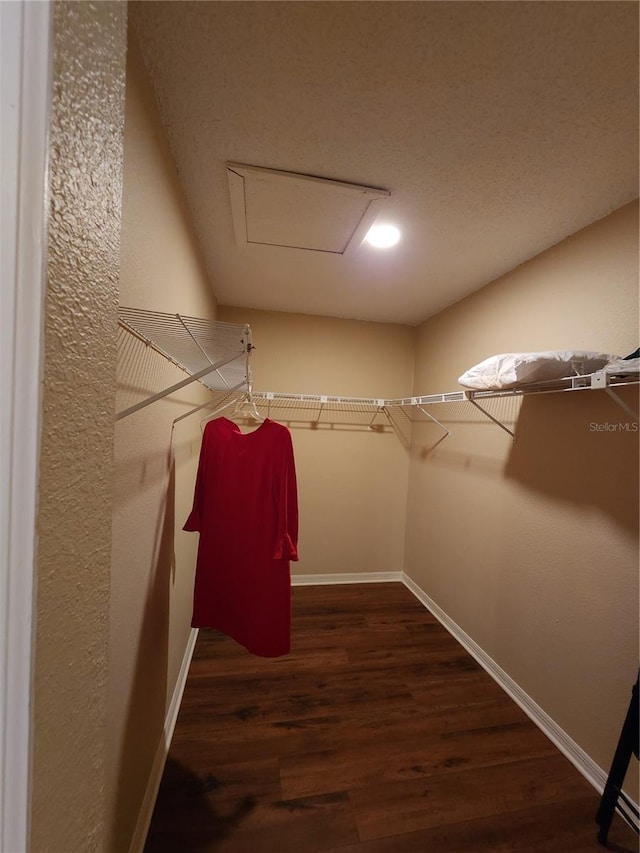 spacious closet featuring dark wood-style floors and attic access