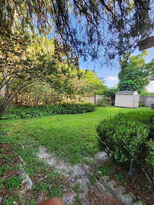 view of yard featuring an outbuilding, a storage unit, and a fenced backyard