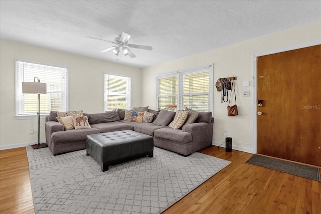 living room featuring a wealth of natural light, ceiling fan, a textured ceiling, and light wood-type flooring