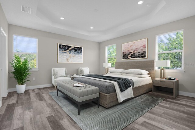 bedroom with multiple windows, a raised ceiling, and wood-type flooring