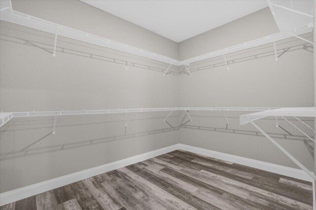 spacious closet featuring hardwood / wood-style floors