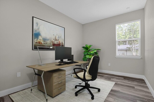 office space featuring wood-type flooring