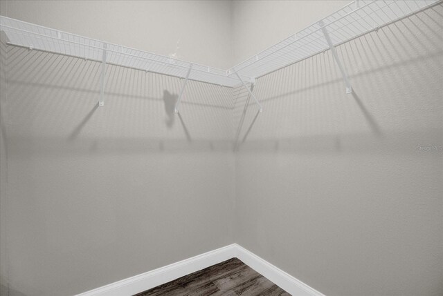 walk in closet featuring hardwood / wood-style flooring