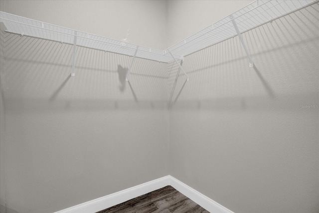 spacious closet featuring wood finished floors