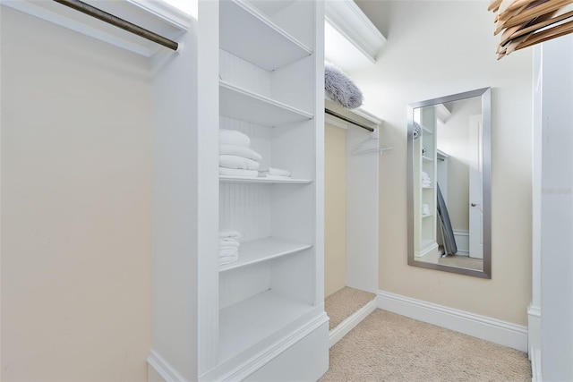 walk in closet featuring light colored carpet