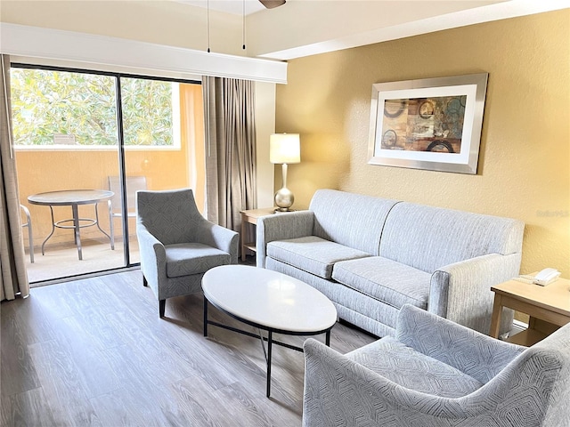 living room featuring wood-type flooring