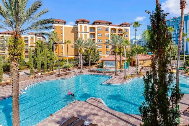 view of swimming pool with a patio