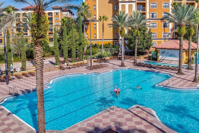 view of swimming pool featuring a patio area