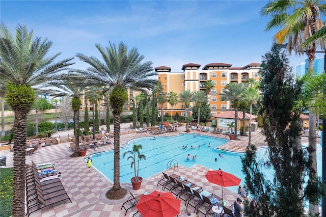 view of swimming pool featuring a patio