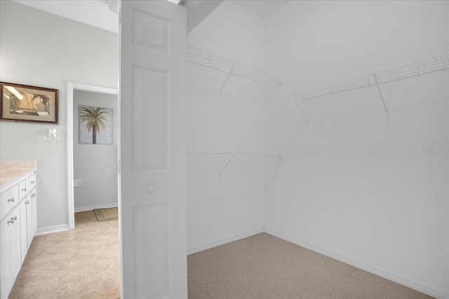 walk in closet with light carpet