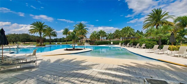 view of swimming pool featuring a patio