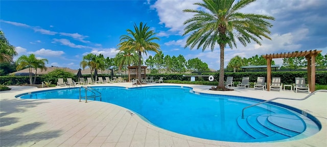 view of swimming pool featuring a pergola and a patio