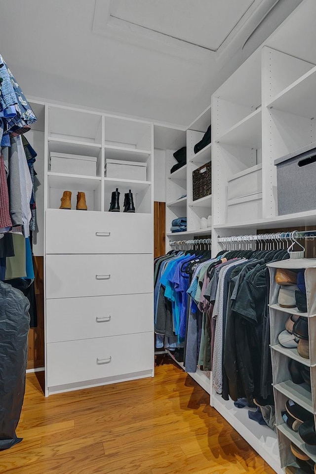 spacious closet featuring wood finished floors