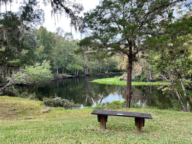 2856 NE 104th Ave, Silver Springs, FL 34488 - photo 38