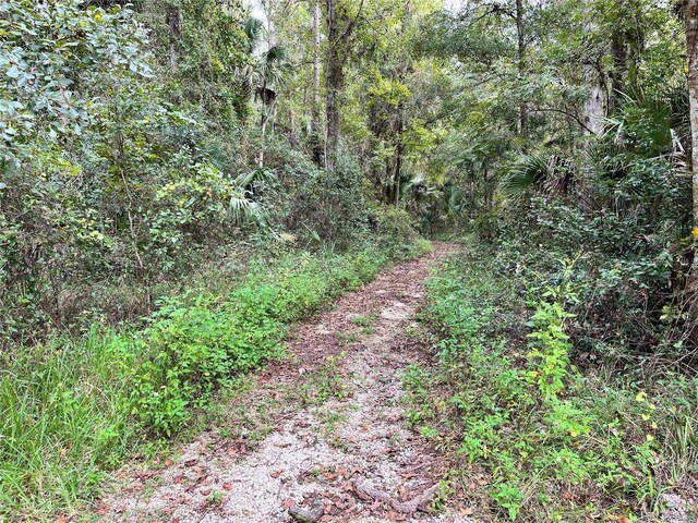 2856 NE 104th Ave, Silver Springs, FL 34488 - photo 41