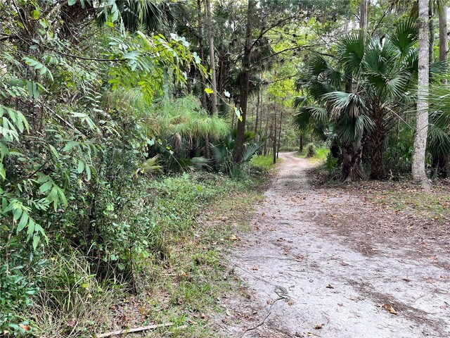 2856 NE 104th Ave, Silver Springs, FL 34488 - photo 42