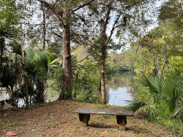 2856 NE 104th Ave, Silver Springs, FL 34488 - photo 43