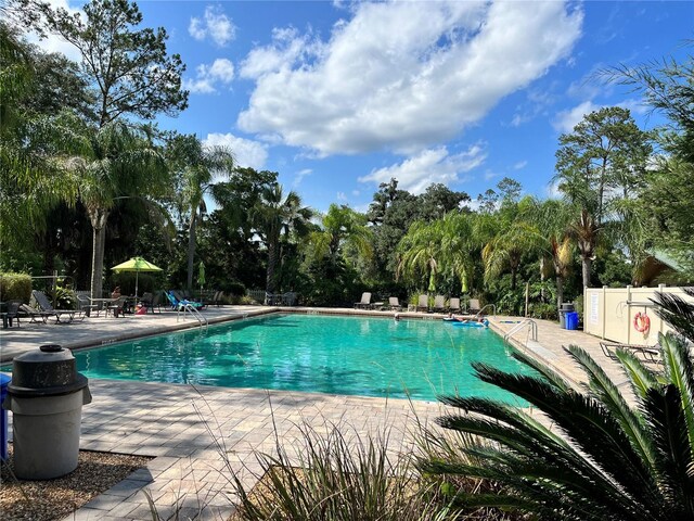 2856 NE 104th Ave, Silver Springs, FL 34488 - photo 45