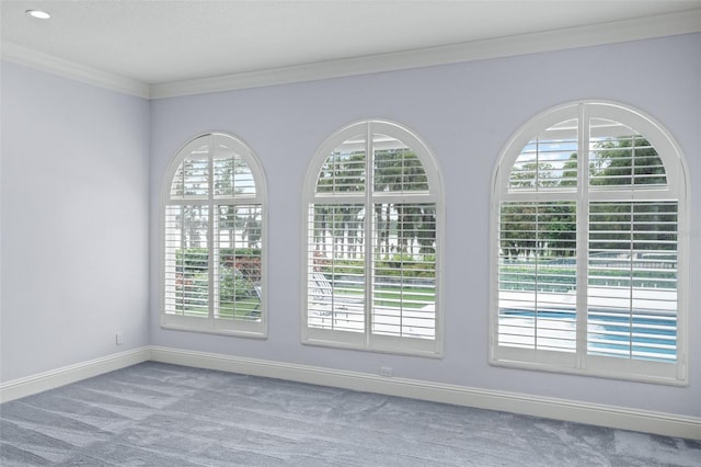 interior space with carpet floors, a healthy amount of sunlight, and ornamental molding