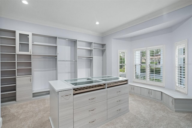 walk in closet featuring light carpet