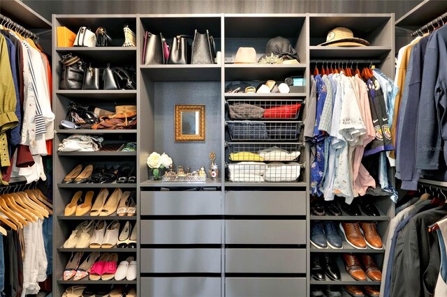 view of walk in closet