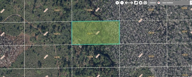 Dill Rd, Orlando FL, 32820 land for sale