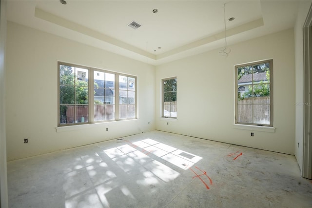 empty room featuring a wealth of natural light and a raised ceiling