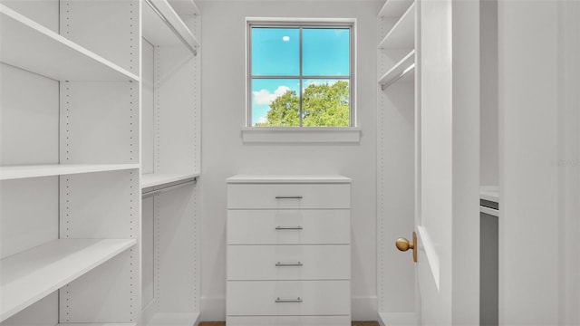 view of spacious closet