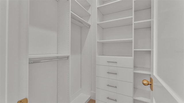 view of walk in closet