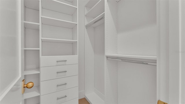 view of spacious closet