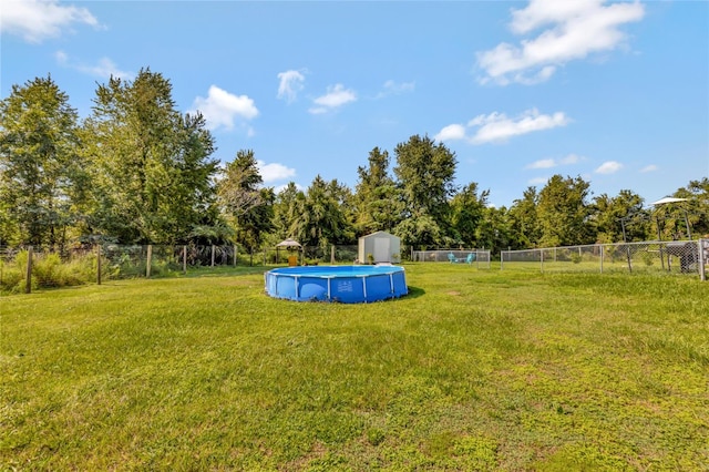 view of yard featuring a storage unit and a fenced in pool