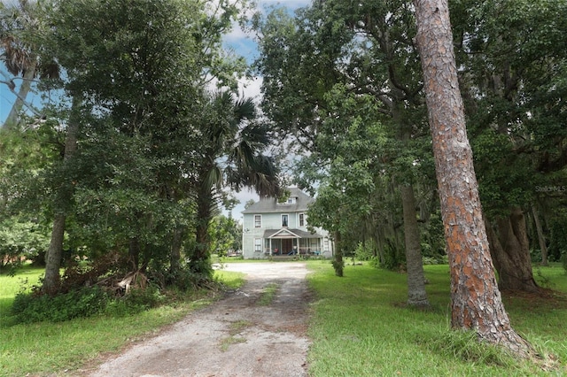 obstructed view of property with a front yard and dirt driveway