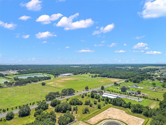 2295 Appy Ln, Apopka, FL 32712 - photo 7