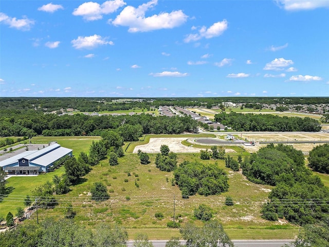 2295 Appy Ln, Apopka, FL 32712 - photo 11